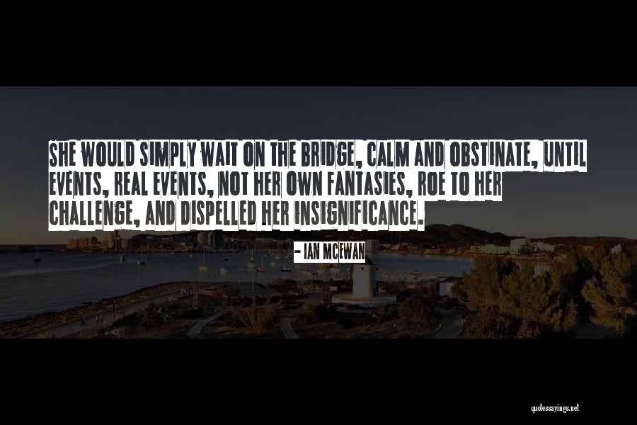Bunuri Rechizitionabile Quotes By Ian McEwan Bunuri Rechizitionabile Quotes By Ian McEwan