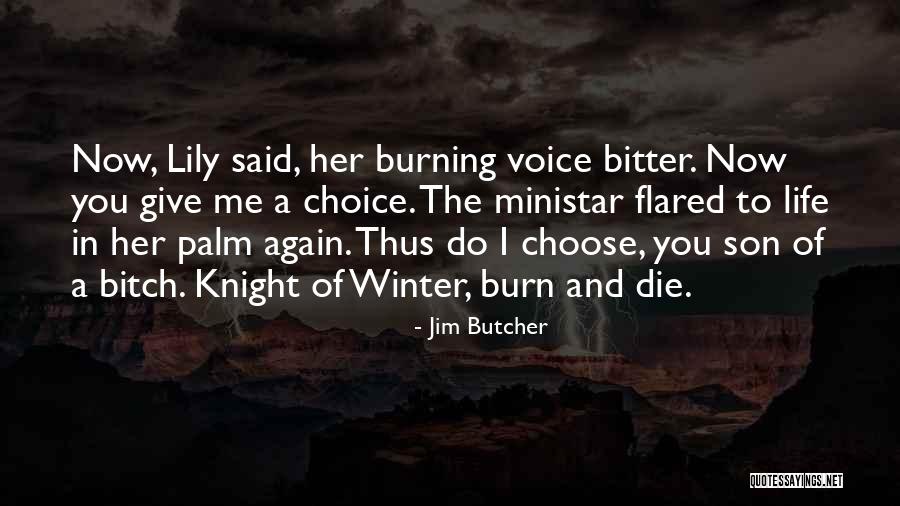 Buonorotti Quotes By Jim Butcher Buonorotti Quotes By Jim Butcher