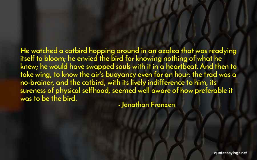 Buoyancy Quotes By Jonathan Franzen