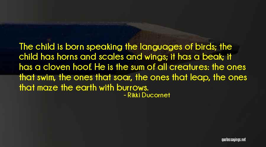 Burakowska 15 Quotes By Rikki Ducornet Burakowska 15 Quotes By Rikki Ducornet