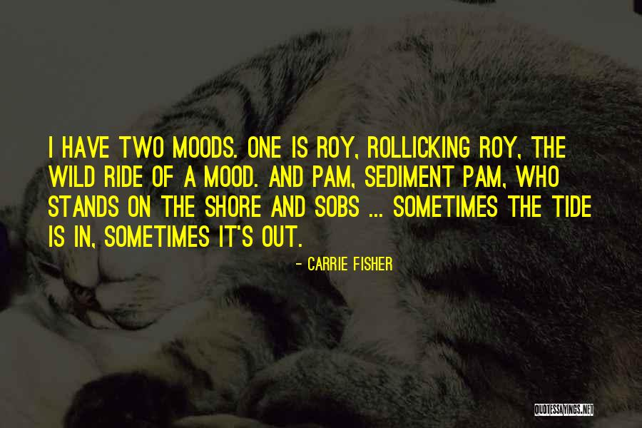 Burawoy Public Sociology Quotes By Carrie Fisher Burawoy Public Sociology Quotes By Carrie Fisher