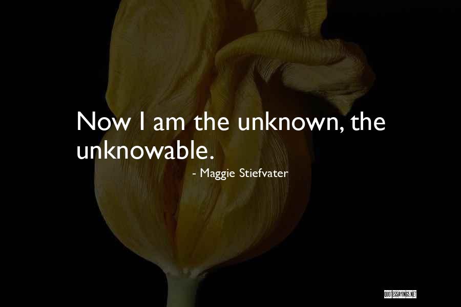 Burbachs Market Quotes By Maggie Stiefvater Burbachs Market Quotes By Maggie Stiefvater