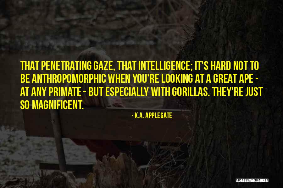 Burbled Mean Quotes By K.A. Applegate Burbled Mean Quotes By K.A. Applegate