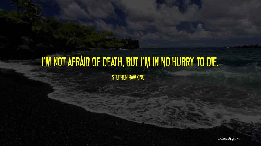 Burchardi Flood Quotes By Stephen Hawking
