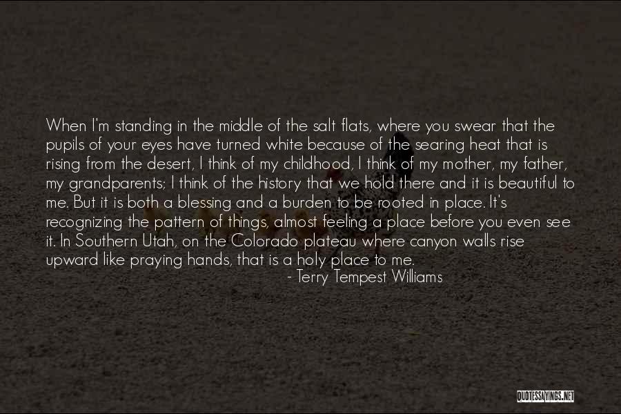 Burden In My Hands Quotes By Terry Tempest Williams Burden In My Hands Quotes By Terry Tempest Williams