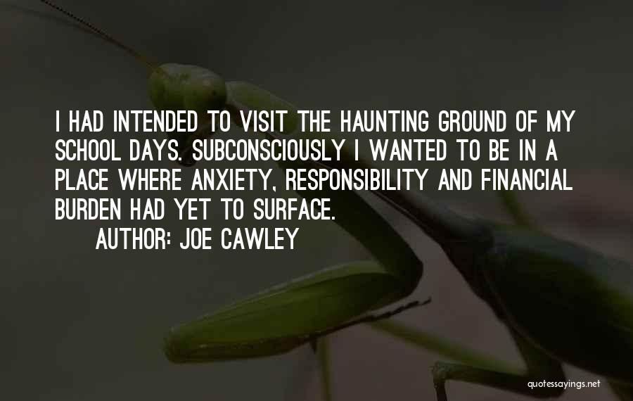 Burden Of Responsibility Quotes By Joe Cawley