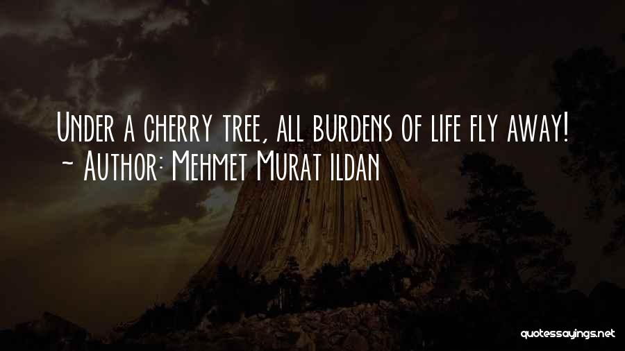 Burdens Of Life Quotes By Mehmet Murat Ildan