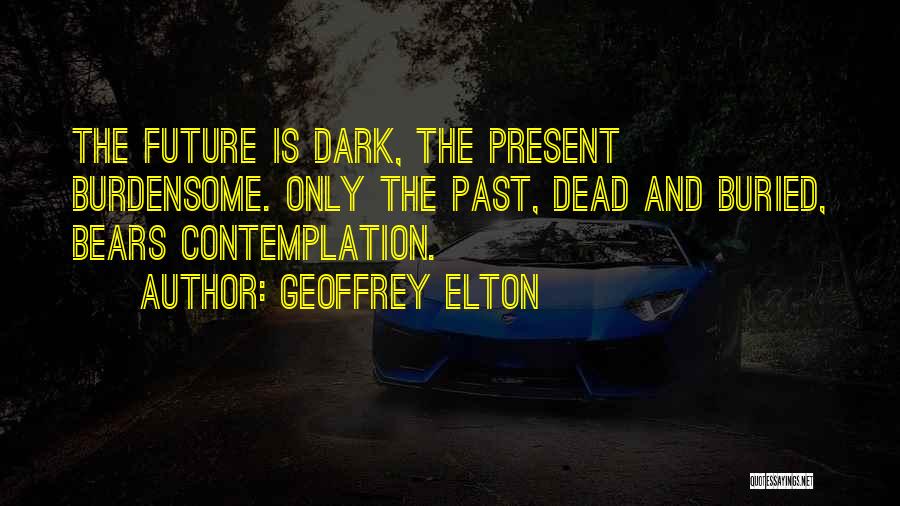 Burdensome Quotes By Geoffrey Elton