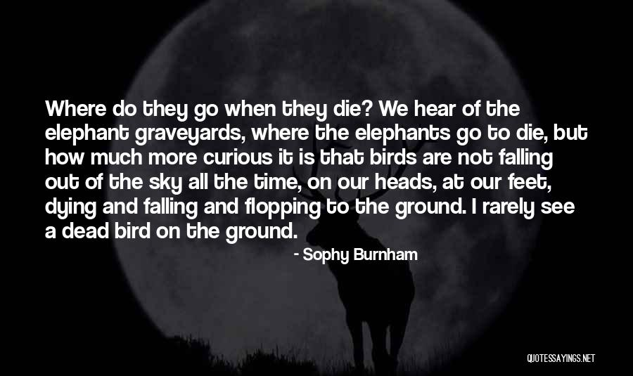 Burdge Boots Quotes By Sophy Burnham Burdge Boots Quotes By Sophy Burnham