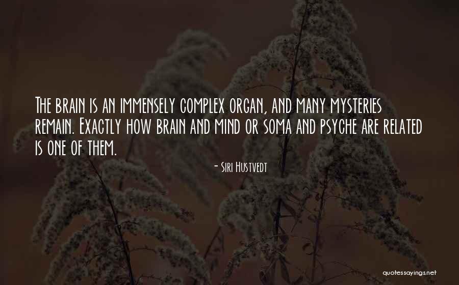 Burdulis Quotes By Siri Hustvedt Burdulis Quotes By Siri Hustvedt
