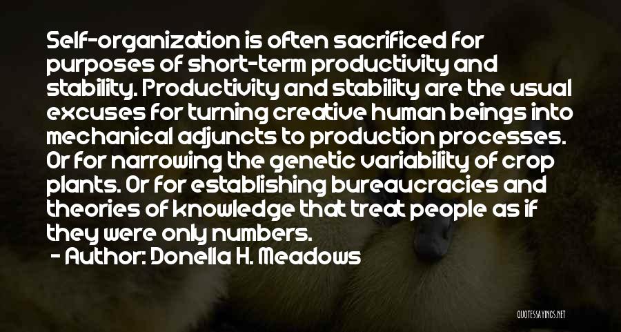 Bureaucracies Quotes By Donella H. Meadows