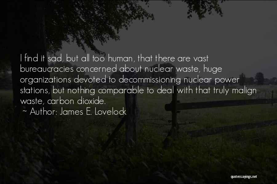 Bureaucracies Quotes By James E. Lovelock