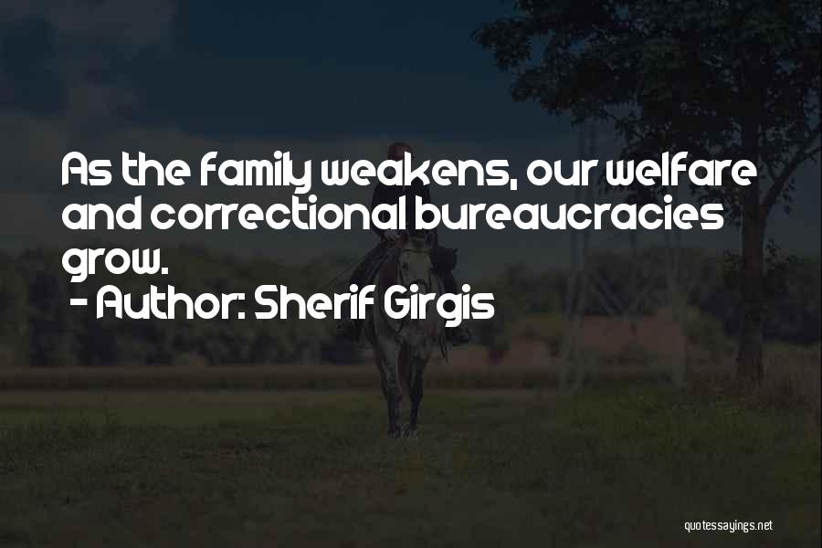 Bureaucracies Quotes By Sherif Girgis