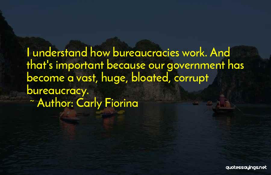 Bureaucracy Quotes By Carly Fiorina