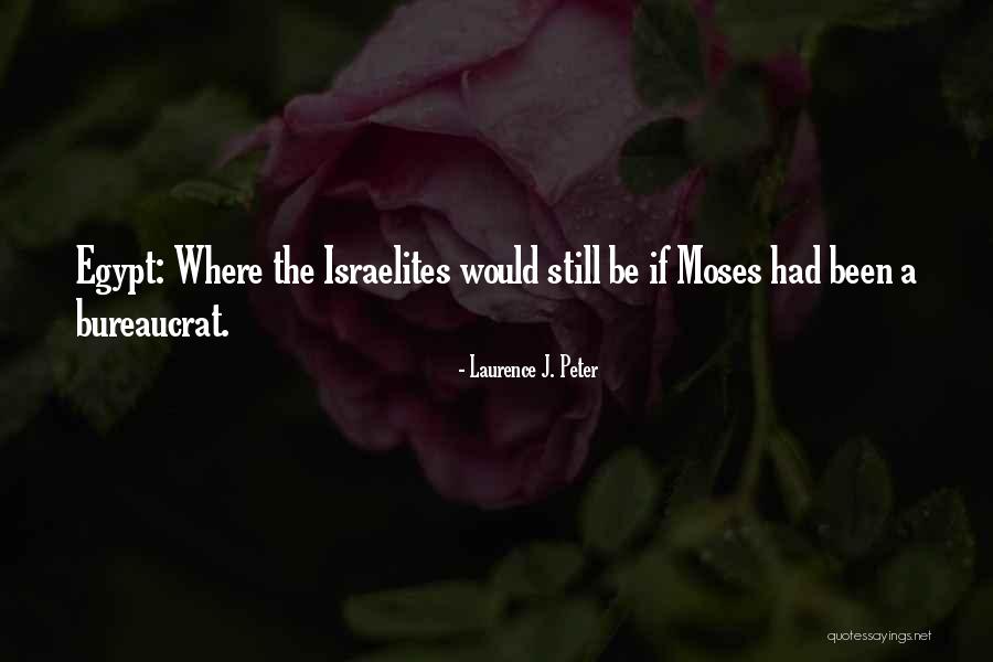 Bureaucrat Quotes By Laurence J. Peter Bureaucrat Quotes By Laurence J. Peter
