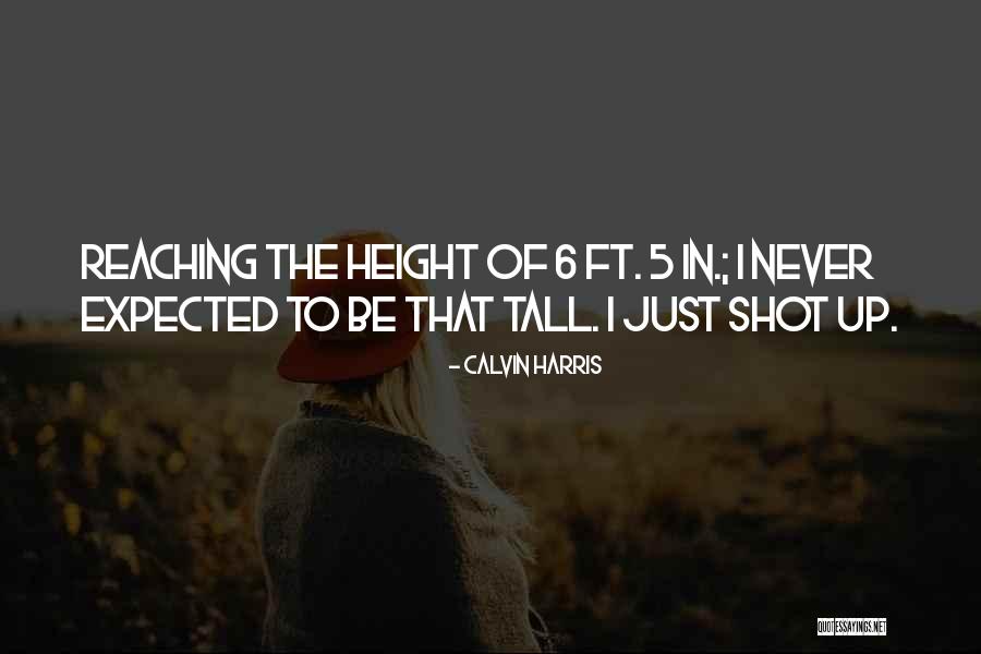 Bureaucrats Tend Quotes By Calvin Harris Bureaucrats Tend Quotes By Calvin Harris