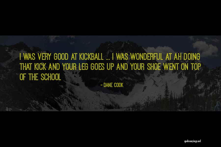 Burgdorferi Osp Quotes By Dane Cook Burgdorferi Osp Quotes By Dane Cook