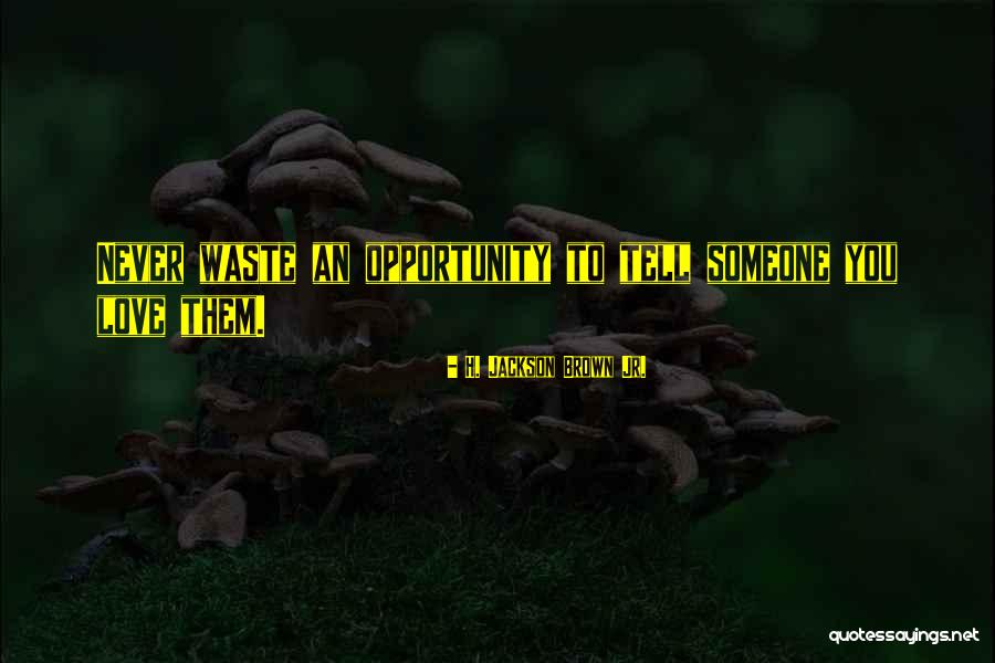 Burgdorferi Pronunciation Quotes By H. Jackson Brown Jr. Burgdorferi Pronunciation Quotes By H. Jackson Brown Jr.