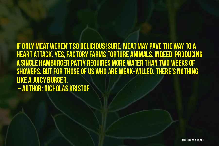 Burger Quotes By Nicholas Kristof