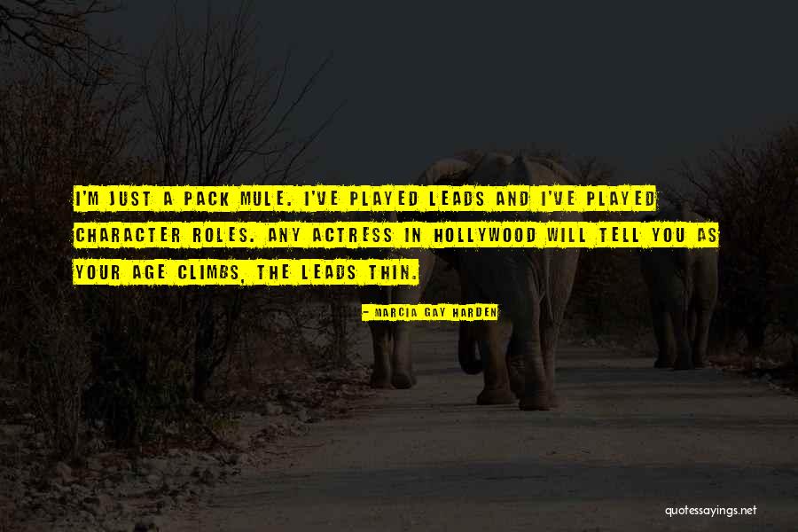 Burgette Mobley Quotes By Marcia Gay Harden Burgette Mobley Quotes By Marcia Gay Harden