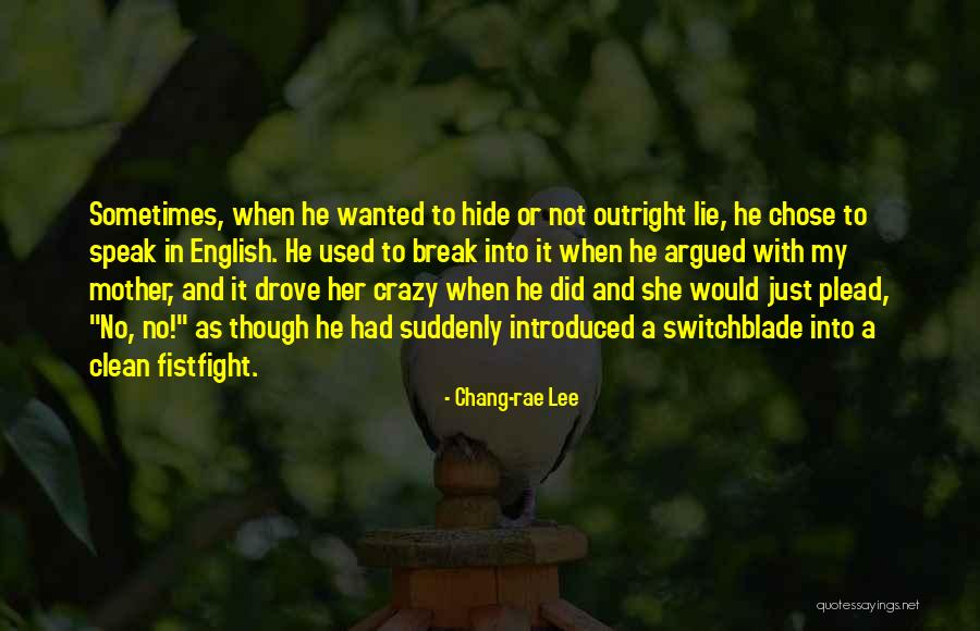 Burghardt Dubois Quotes By Chang-rae Lee Burghardt Dubois Quotes By Chang-rae Lee