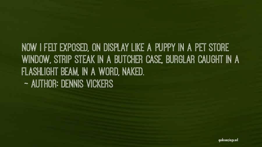 Burglar Quotes By Dennis Vickers