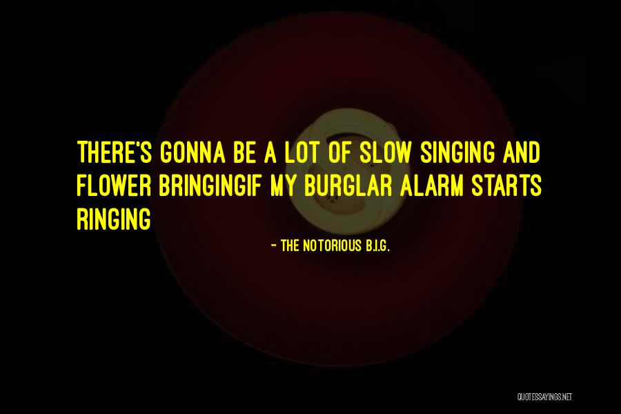 Burglar Quotes By The Notorious B.I.G.