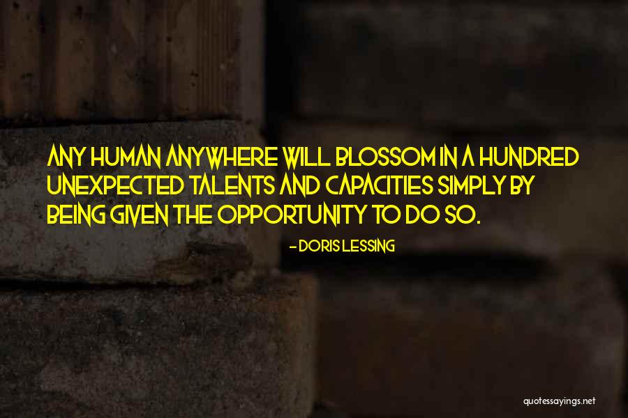 Burglarized House Quotes By Doris Lessing Burglarized House Quotes By Doris Lessing