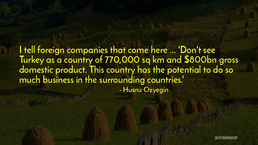 Burguita Quotes By Husnu Ozyegin Burguita Quotes By Husnu Ozyegin