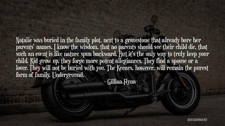 Burial Plot Quotes By Gillian Flynn