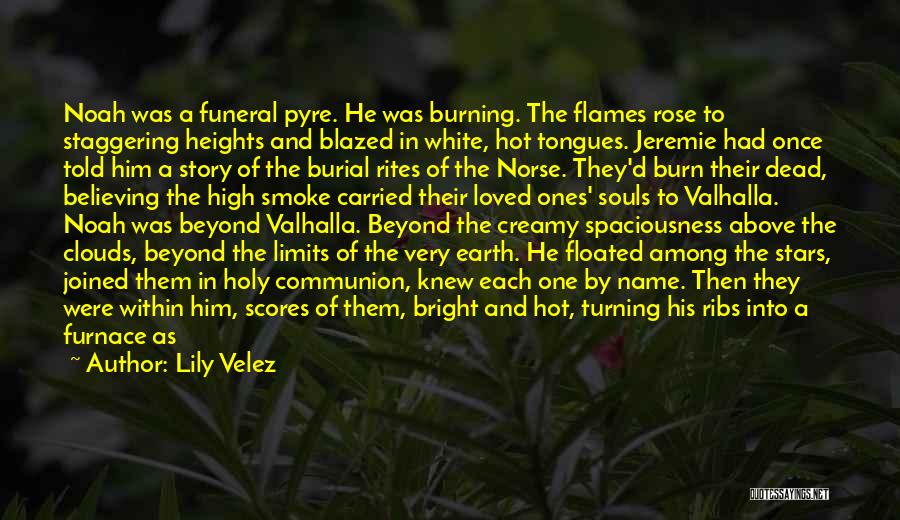 Burial Rites Quotes By Lily Velez