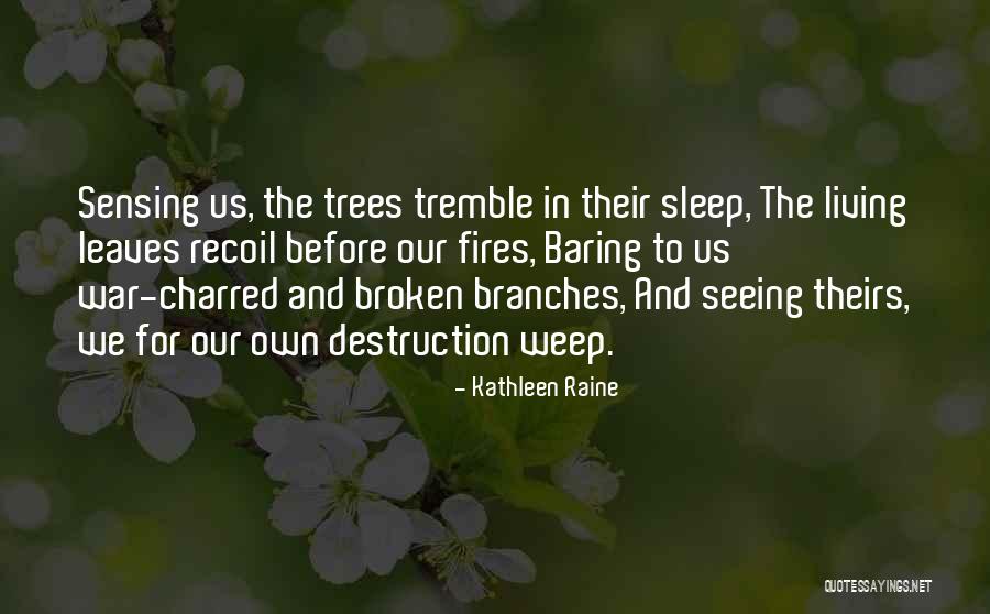 Burials In Woodlawn Quotes By Kathleen Raine