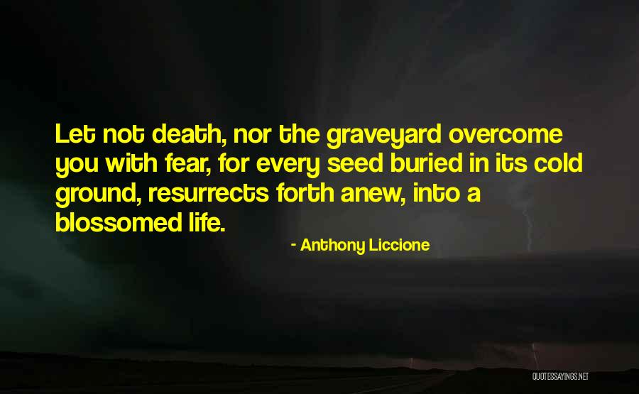 Buried Life Quotes By Anthony Liccione Buried Life Quotes By Anthony Liccione