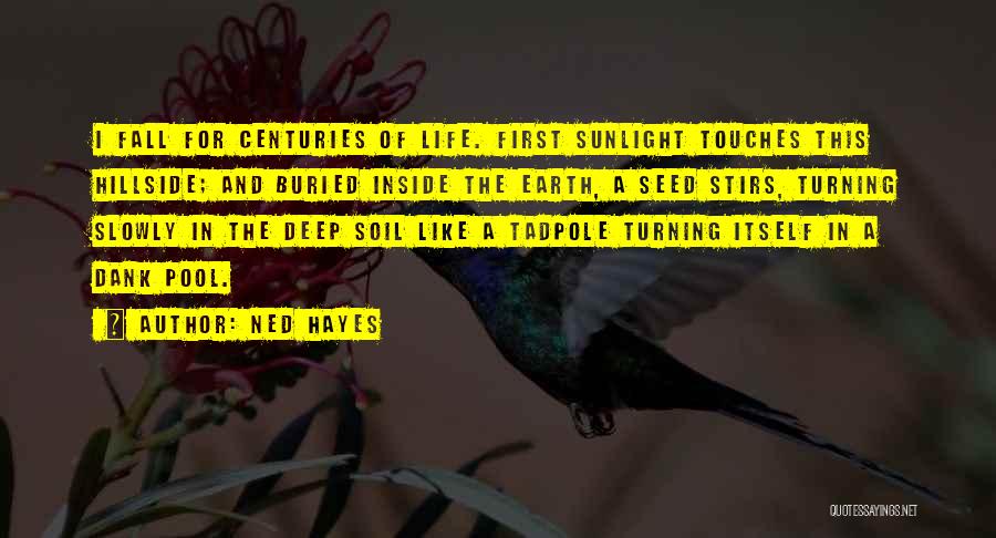 Buried Life Quotes By Ned Hayes