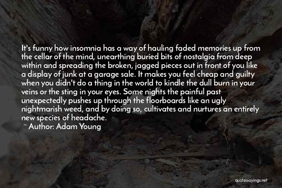 Buried Memories Quotes By Adam Young