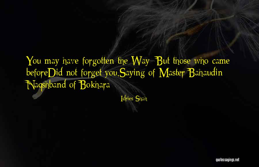 Burlesques Cast Quotes By Idries Shah Burlesques Cast Quotes By Idries Shah
