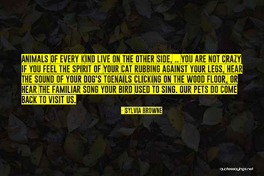 Burlete Quotes By Sylvia Browne Burlete Quotes By Sylvia Browne