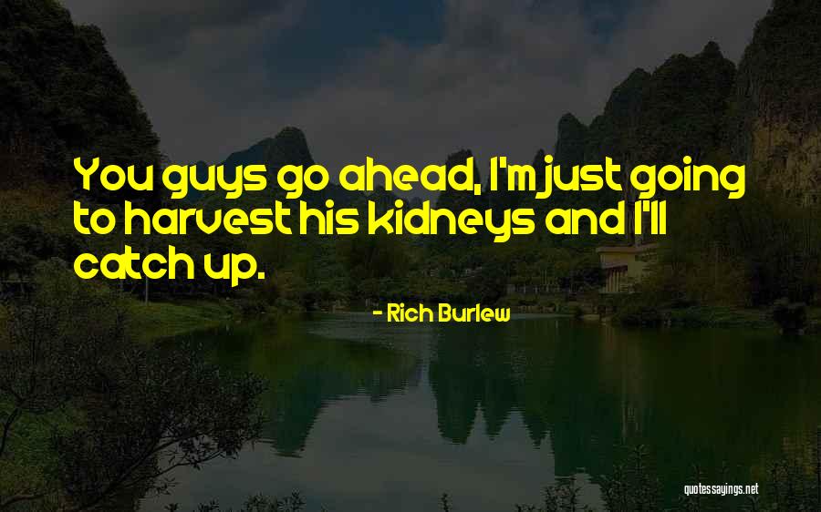 Burlew Quotes By Rich Burlew Burlew Quotes By Rich Burlew