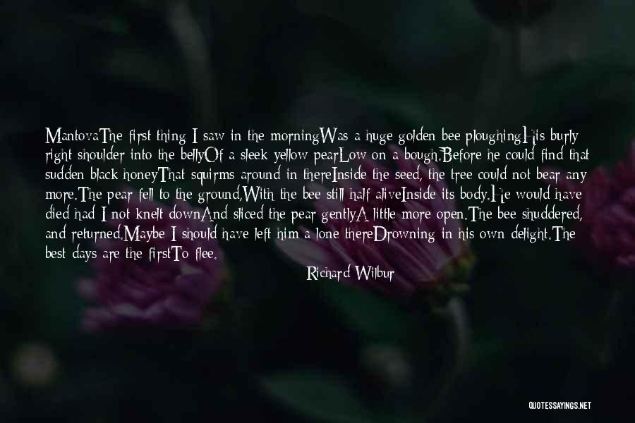 Burly Quotes By Richard Wilbur Burly Quotes By Richard Wilbur