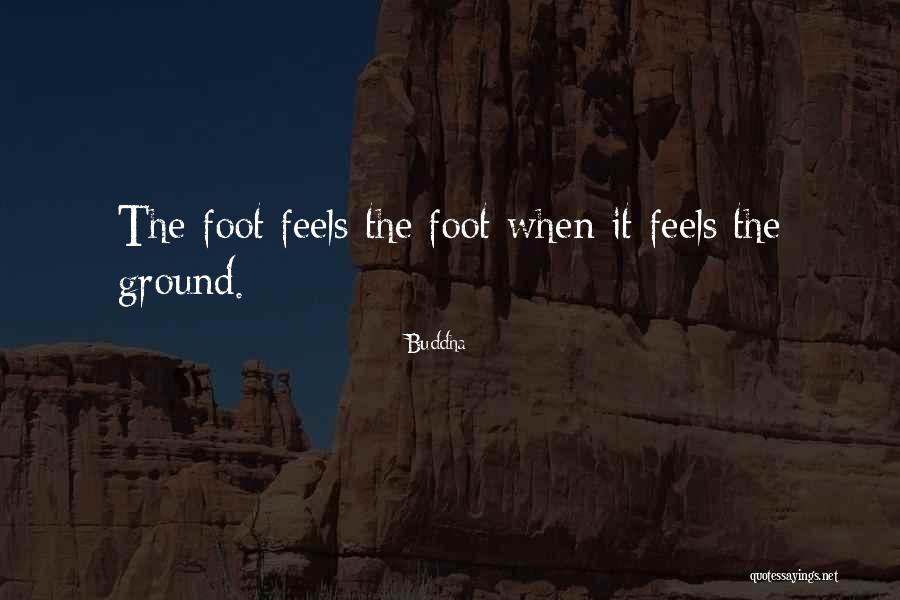 Burmanniaceae Quotes By Buddha Burmanniaceae Quotes By Buddha