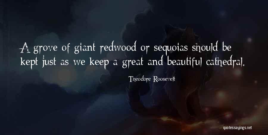 Burmeister Ginseng Quotes By Theodore Roosevelt Burmeister Ginseng Quotes By Theodore Roosevelt