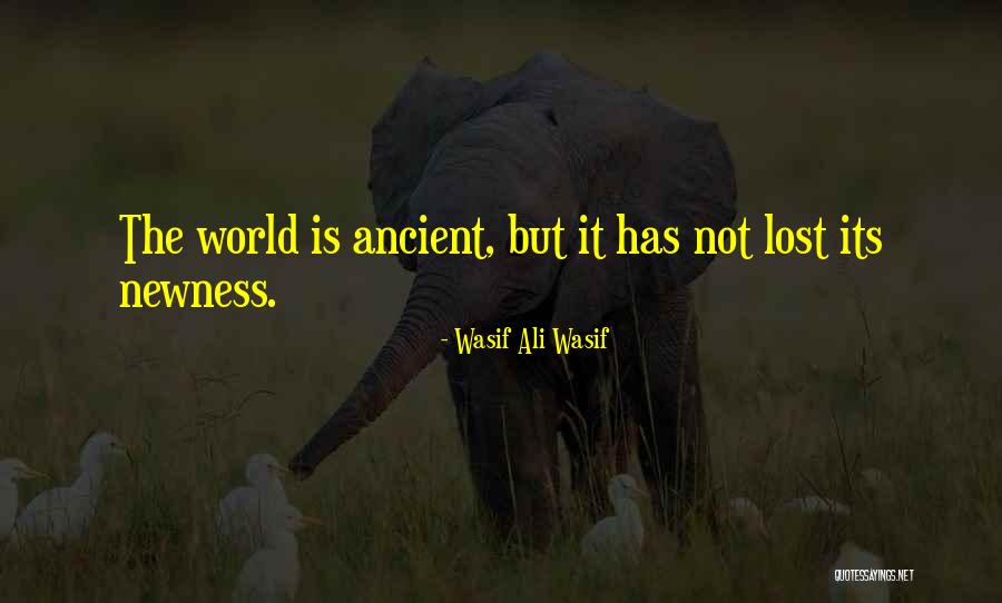 Burmese Cat Quotes By Wasif Ali Wasif Burmese Cat Quotes By Wasif Ali Wasif