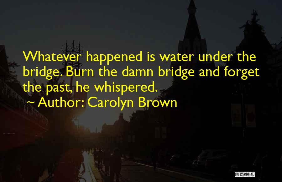 Burn A Bridge Quotes By Carolyn Brown