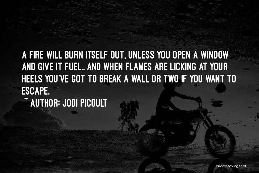 Burn Break Up Quotes By Jodi Picoult