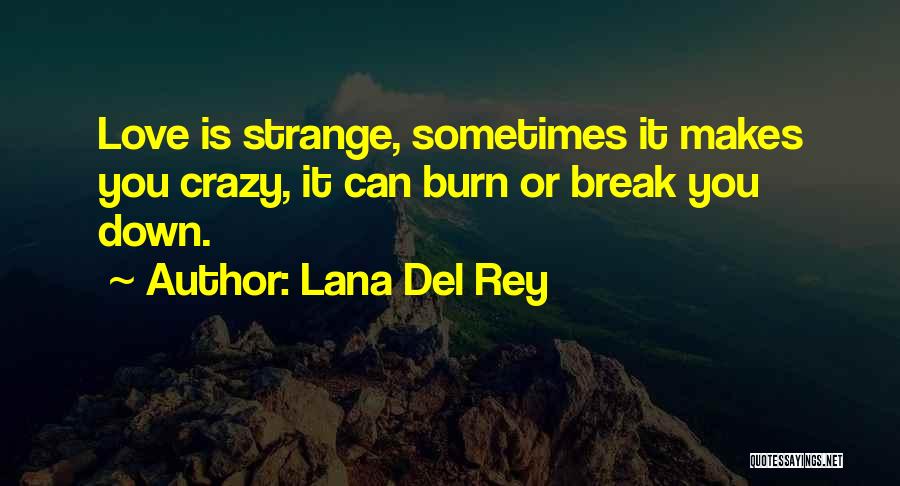 Burn Break Up Quotes By Lana Del Rey