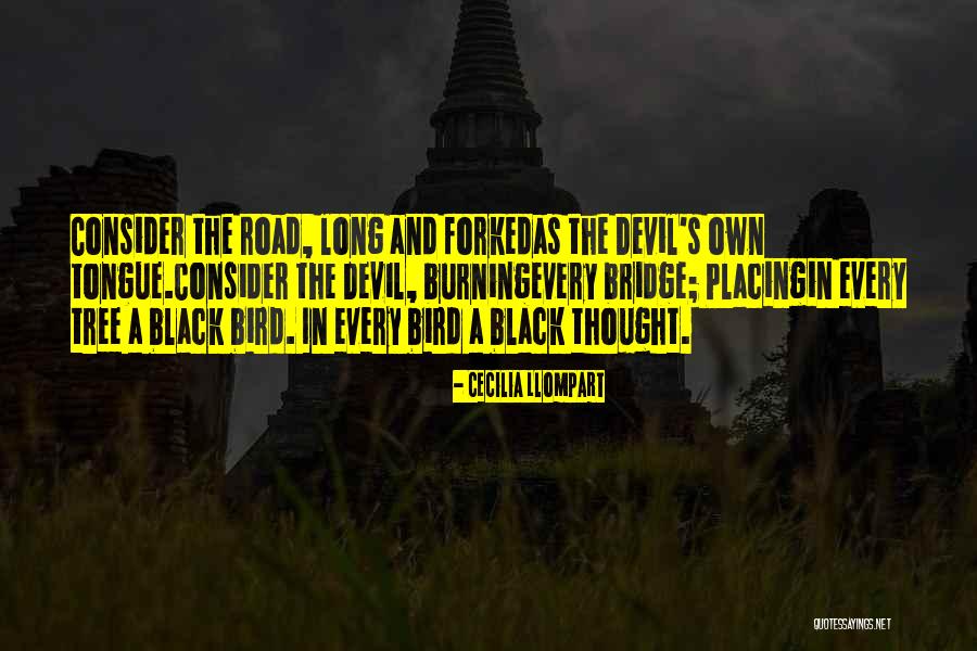 Burn Bridges Quotes By Cecilia Llompart Burn Bridges Quotes By Cecilia Llompart