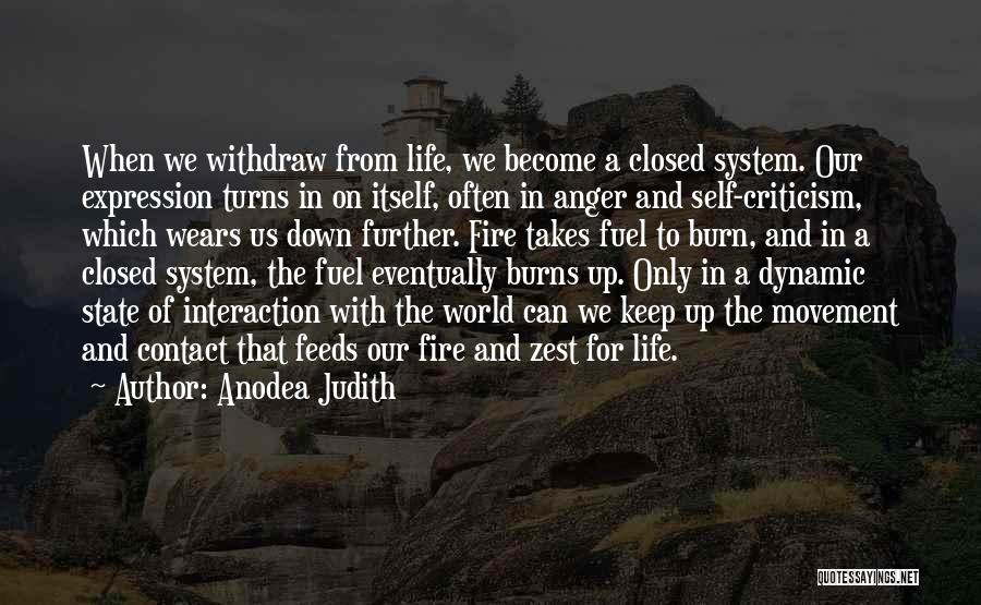 Burn Down The World Quotes By Anodea Judith