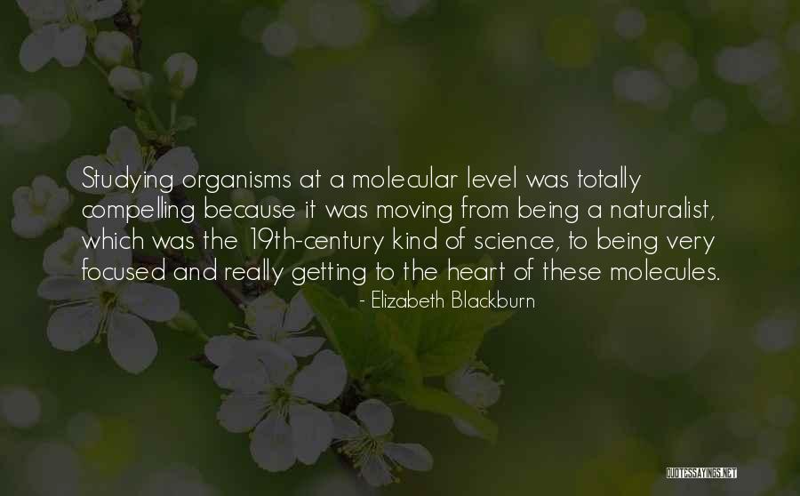 Burn Fats Quotes By Elizabeth Blackburn Burn Fats Quotes By Elizabeth Blackburn