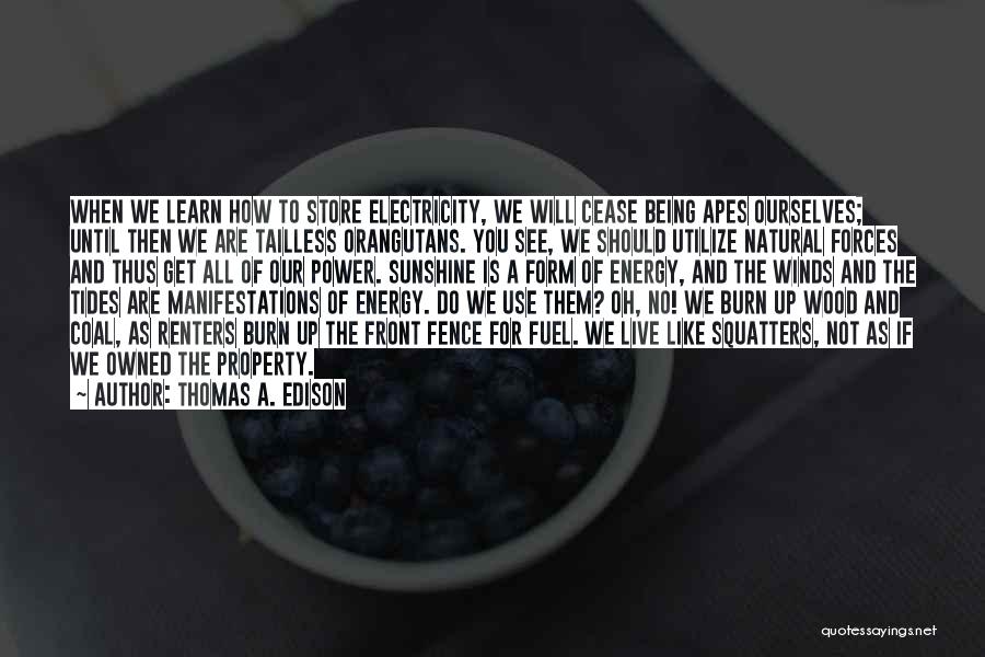 Burn For You Quotes By Thomas A. Edison