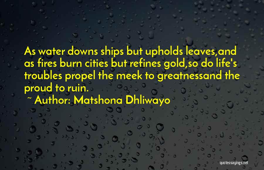 Burn The Ships Quotes By Matshona Dhliwayo